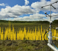 eLTER Data Call - legacy data mobilization for eLTER Standard Observations
