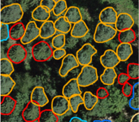 Data call for tree species annotations and aerial RGB or RGBI imagery (TreeAI)
