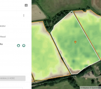 Looking for dry matter yields of different pasture mixes