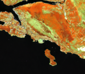 FORECOMON 2026: Integrating Ground- and Remote Sensing-based Forest Monitoring for Resilient Forests