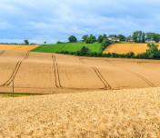 eLTER Releases First Policy Brief on Scaling Carbon Removal for Climate Neutrality