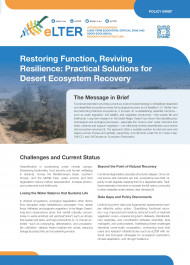Restoring Function, Reviving Resilience: Practical Solutions for Desert Ecosystem Recovery cover