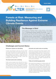 Forests at Risk: Measuring and Building Resilience Against Extreme Climate Events cover