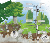 Innovative ecohydrogeological monitoring in karst critical zones: a new study from eLTER Slovenia